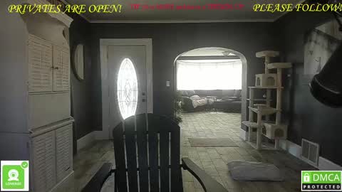 MrBrew online show from 25, 2, 2025