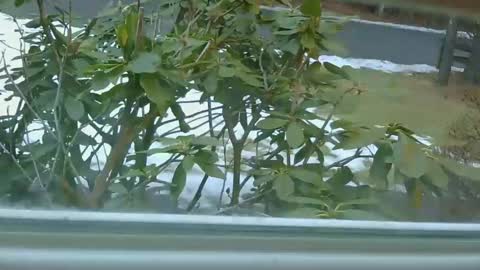 Snapshot of mrbrigggs chatting on 14, 1, 2026 mrbrigggs online show from 14, 1, 2026