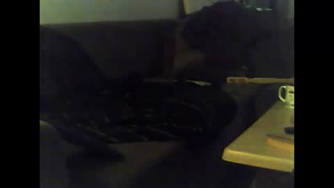 Snapshot of mrhandsomelovee chatting on 12, 1, 2025 Nikola online show from 12, 1, 2025