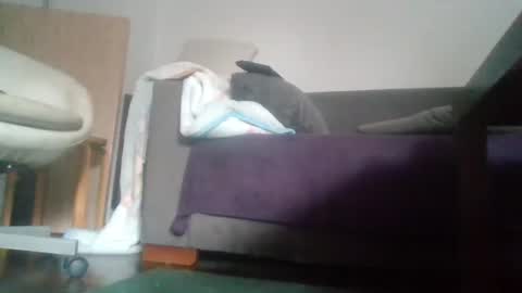 Snapshot of mrhandsomelovee chatting on 18, 10, 2025 Nikola online show from 18, 10, 2025