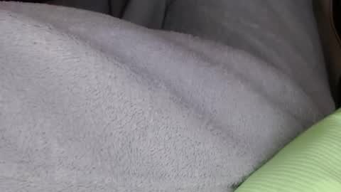 Mister Jean Nemar online show from 18, 1, 2026