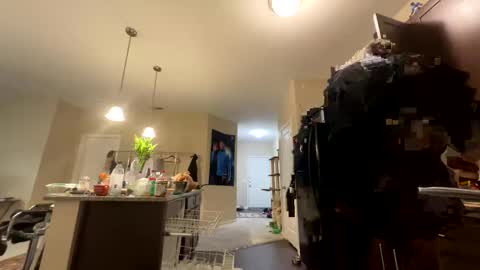 Longbi1 online show from 18, 9, 2025