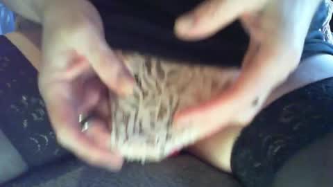 Snapshot of mrmojorisn chatting on 30, 12, 2024 mojo online show from 30, 12, 2024