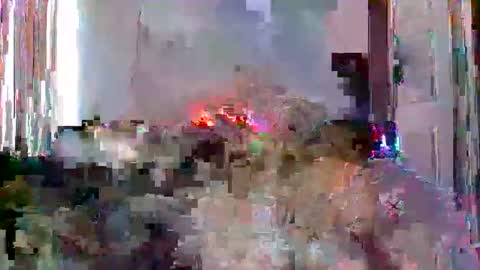 Snapshot of mrmountainman91 chatting on 22, 12, 2025 mrmountainman91 online show from 22, 12, 2025