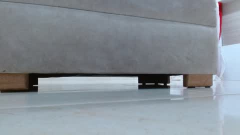 Tell me Katty  online show from 10, 1, 2025