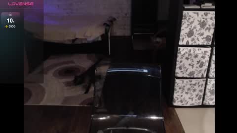 Sasha online show from 6, 12, 2024