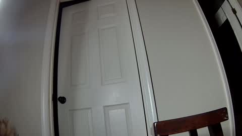 missqueenbbw online show from 2, 12, 2024