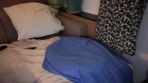 French Brown Cookies online show from 18, 4, 2026