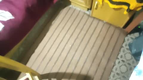 zenon online show from 26, 10, 2025