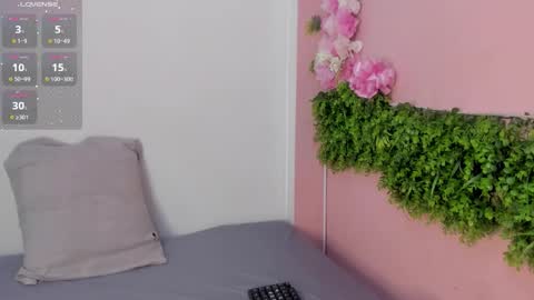 Mulan online show from 24, 3, 2026