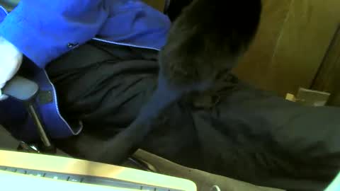 muller520 online show from 23, 2, 2025