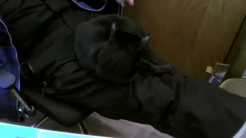 muller520 online show from 26, 2, 2025