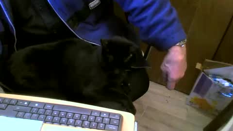 muller520 online show from 27, 2, 2025