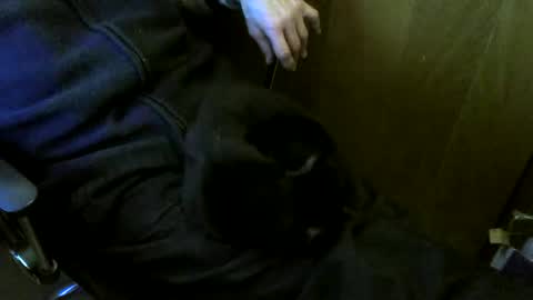 muller520 online show from 2, 3, 2026