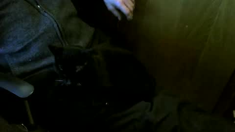 muller520 online show from 12, 3, 2026