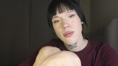 Polik online show from 12, 3, 2026