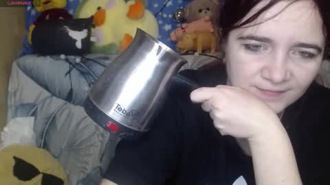 ZZ TOP online show from 11, 1, 2026