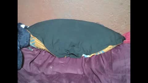 myaldiah online show from 17, 2, 2025