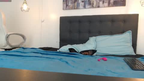 Snapshot of mysterious_girl42 chatting on 5, 1, 2025 No Name online show from 5, 1, 2025