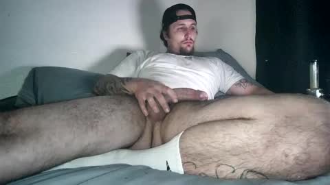 n9nature online show from 11, 3, 2025