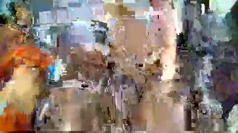 nafertiti online show from 5, 11, 2025