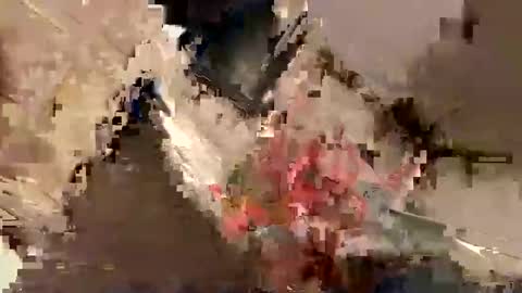 nairda2senoniuq online show from 22, 12, 2024