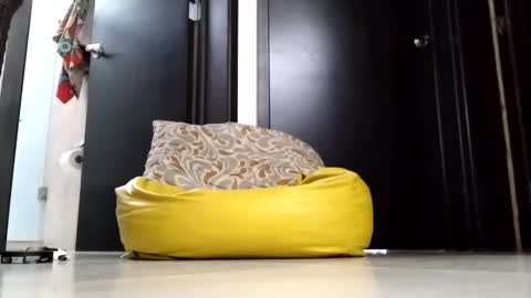 nak3d_lif3 online show from 1, 4, 2026