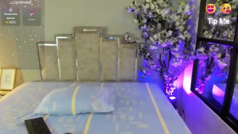 nalapalmer online show from 12, 2, 2026