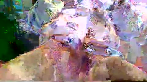 Snapshot of nano527 chatting on 12, 2, 2026 nano527 online show from 12, 2, 2026