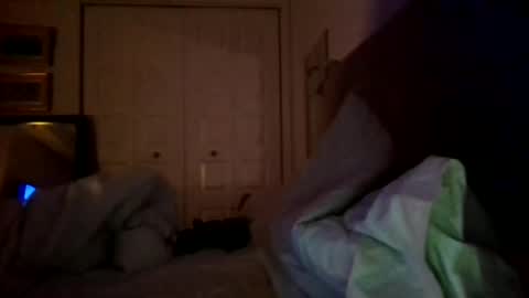 nassobout online show from 17, 12, 2024