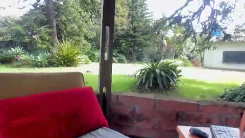 NatashaDiamond online show from 23, 6, 2026