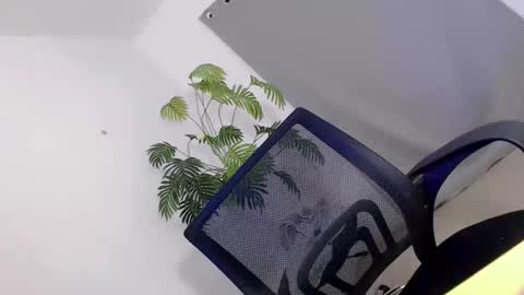 Call me Carol online show from 10, 4, 2026