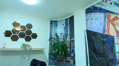 Kitten online show from 5, 3, 2025