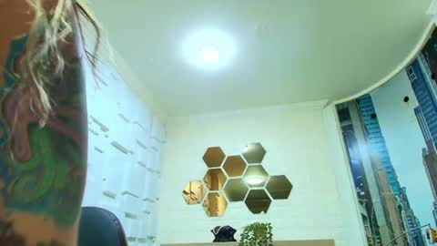 Kitten online show from 12, 2, 2026