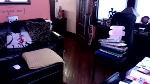 Snapshot of naughtybone chatting on 12, 1, 2025 naughtybone online show from 12, 1, 2025