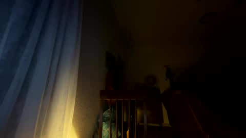 nboss55 online show from 8, 10, 2025