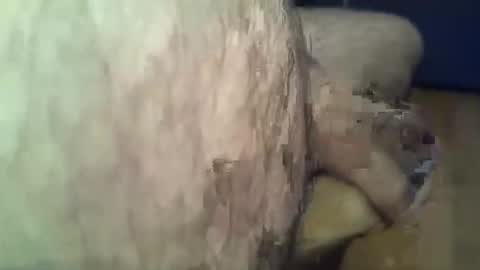 ncbncb online show from 16, 11, 2025