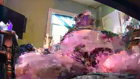 Snapshot of ndcowpoke chatting on 8, 2, 2025 ND Cowpoke online show from 8, 2, 2025