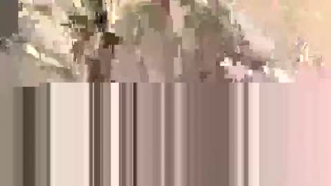 Snapshot of ndsckd chatting on 12, 9, 2025 ndsckd online show from 12, 9, 2025