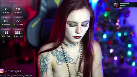 Snapshot of nelle_ chatting on 30, 12, 2024    online show from 30, 12, 2024