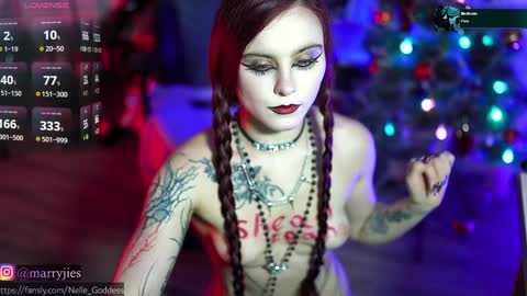 Snapshot of nelle_ chatting on 30, 12, 2024    online show from 30, 12, 2024