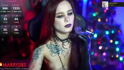 Snapshot of nelle_ chatting on 1, 1, 2025    online show from 1, 1, 2025