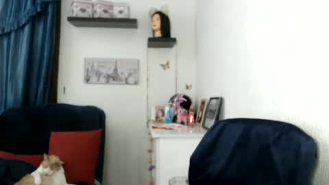 Star  online show from 27, 2, 2025