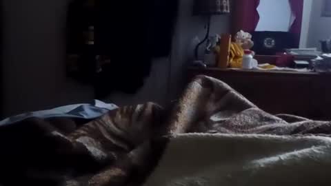 Matt online show from 15, 1, 2026