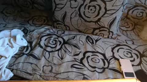 Lilly  online show from 8, 4, 2026