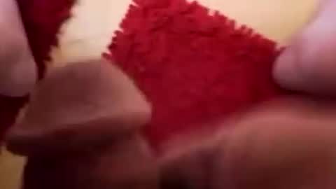 BookWriter online show from 2, 12, 2024