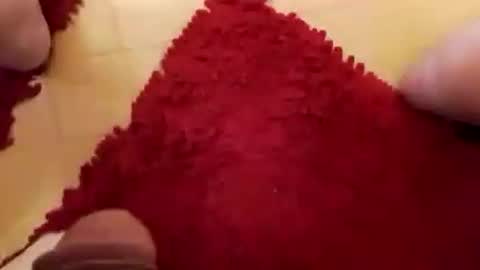 BookWriter online show from 7, 12, 2024