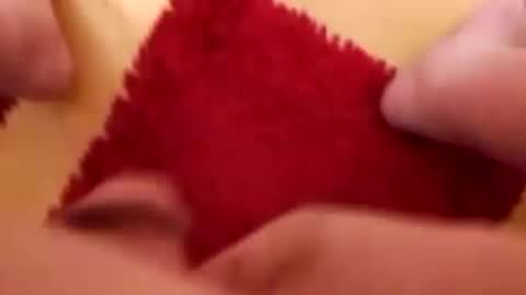 BookWriter online show from 8, 12, 2024