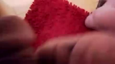 BookWriter online show from 13, 12, 2024