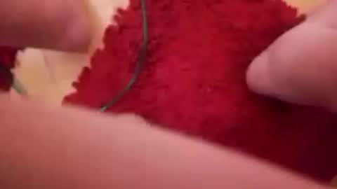 BookWriter online show from 16, 12, 2024